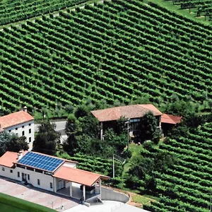  Apartment Ricca Vigna Italien