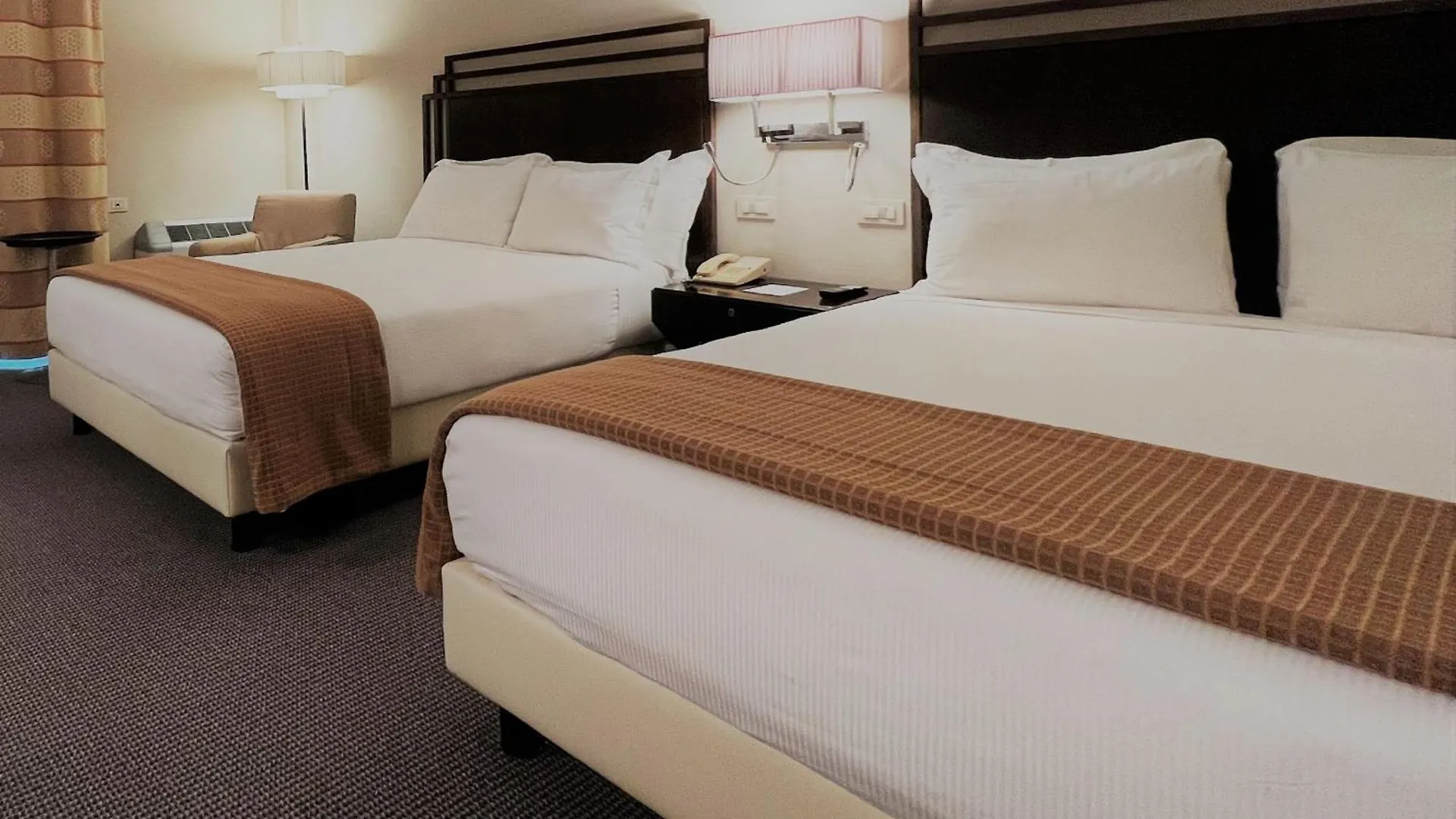 Hotel Crowne Plaza Rome St. Peter'S By Ihg Italia